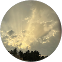 rpdharshni mahendran profile picture